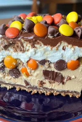 Chocolate Peanut Butter Lasagna