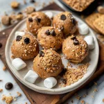 S'mores No Bake Protein Bites